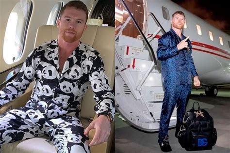 dolce gabbana patrocina a canelo